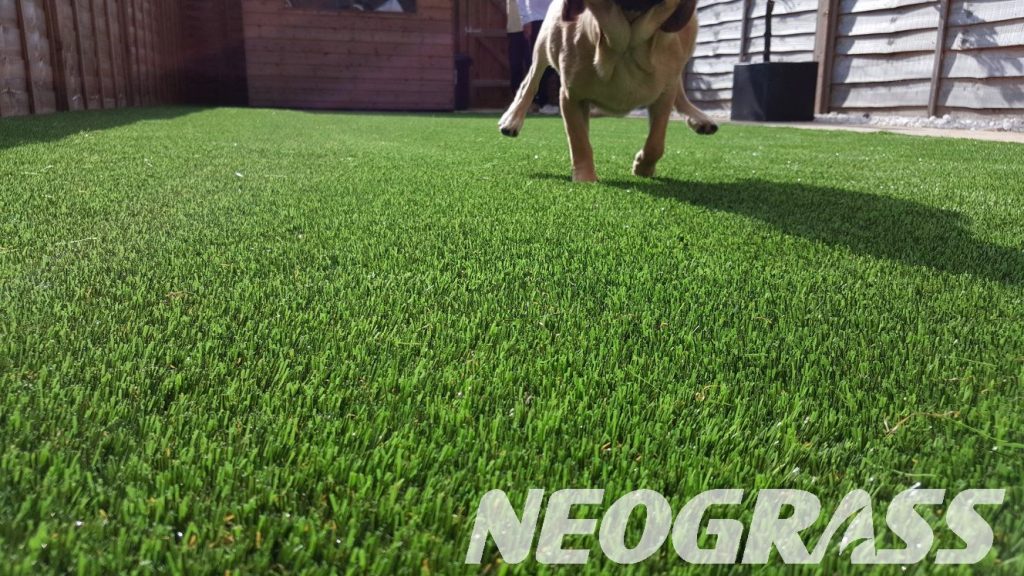 Revolutionize Your Fake Grass With These Simple-peasy Tips